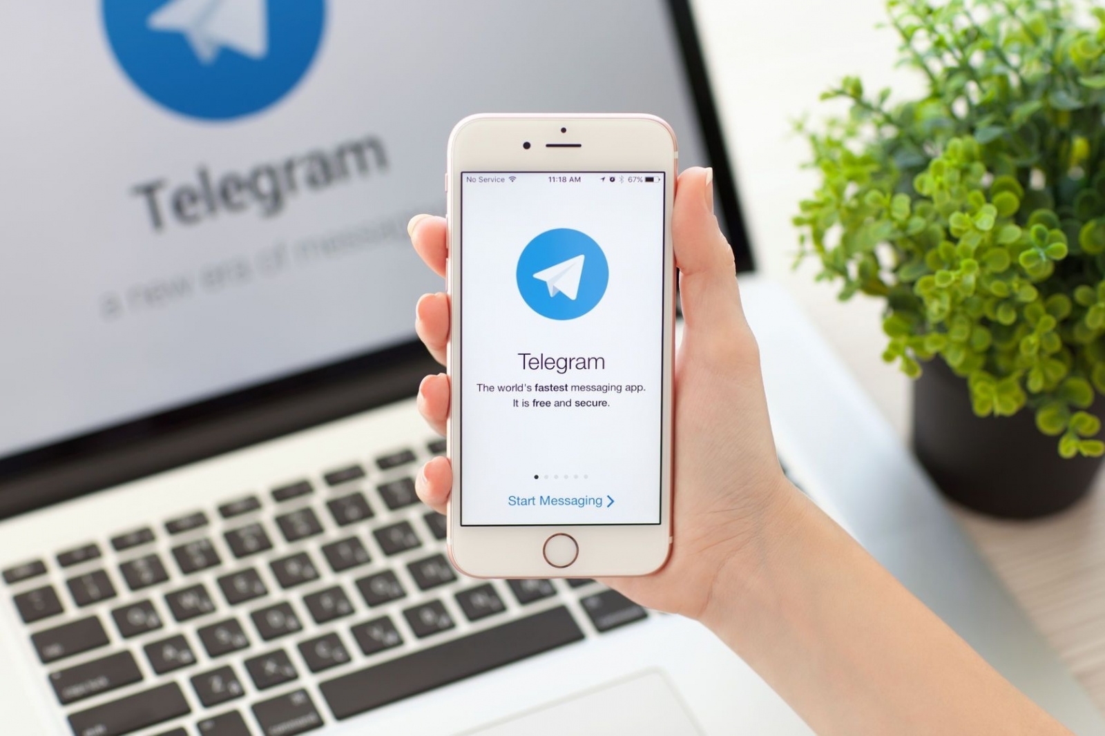 Полезный софт для телеграм: обзор лучших инструментов