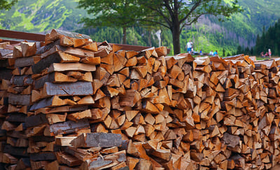 Обзор разных видов колотых дров: как выбрать их для отопления